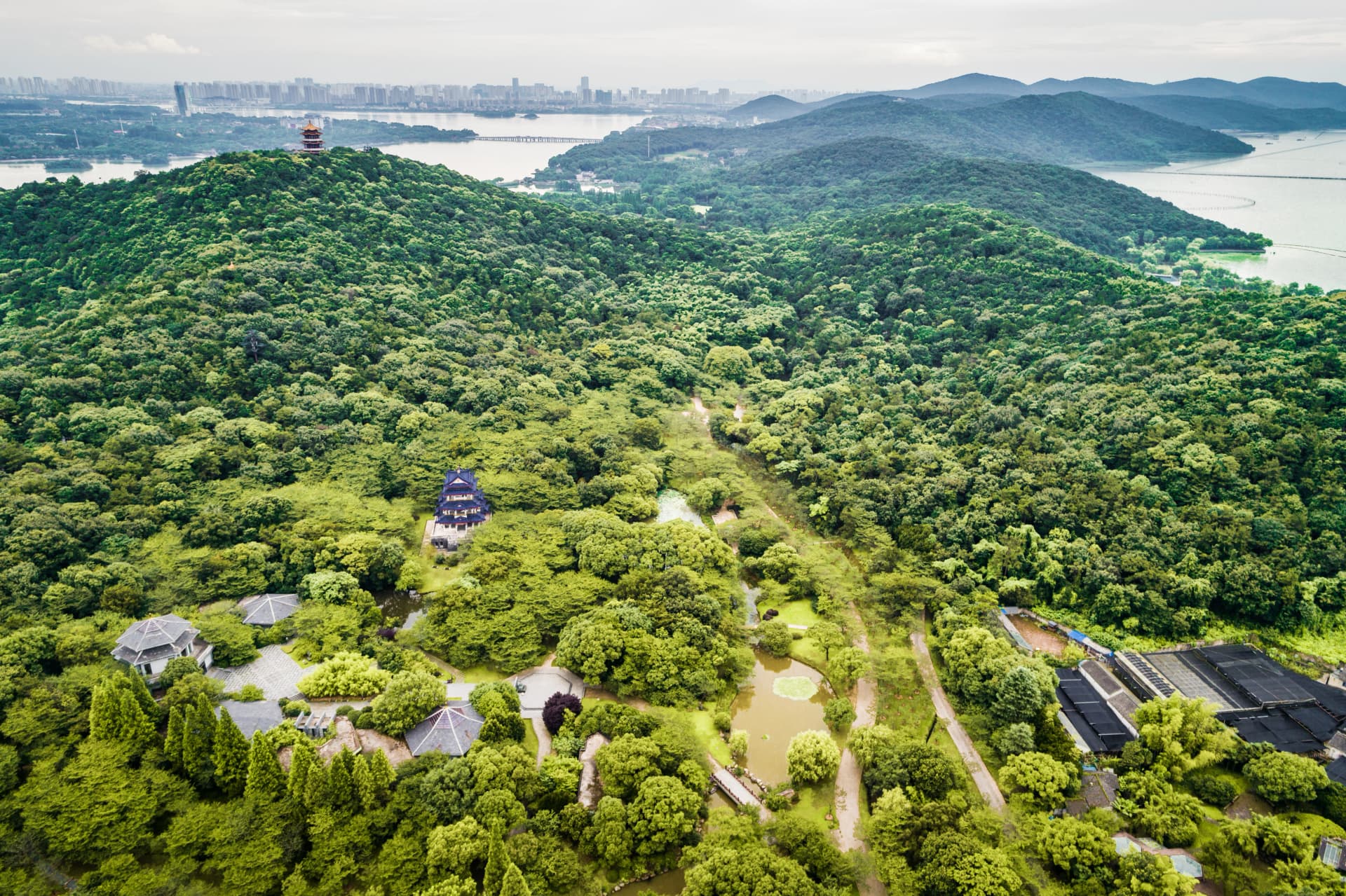 Tadoba Elevated Eco-Resort